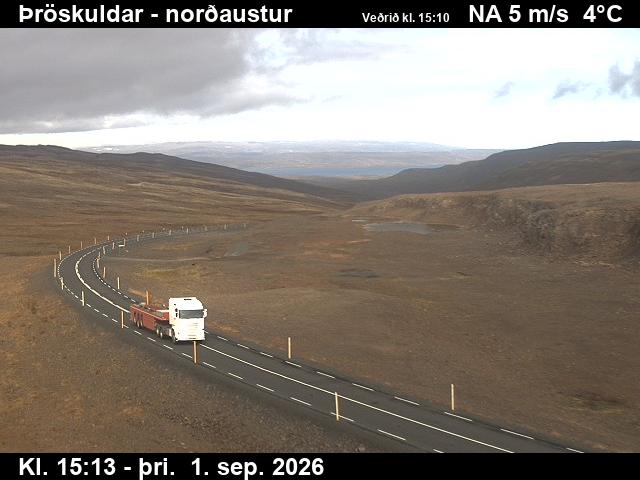 throskuldar_1-1788283558.jpg
