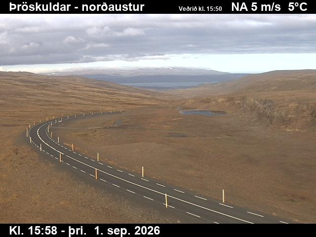 throskuldar_1-1788285986.jpg