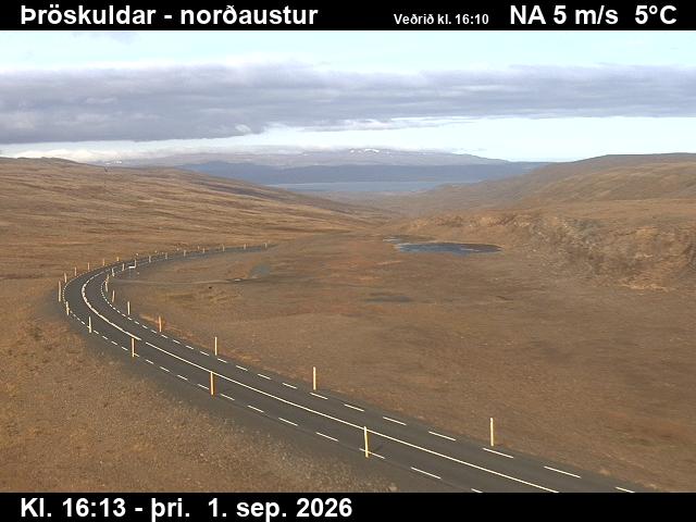 throskuldar_1-1788287176.jpg