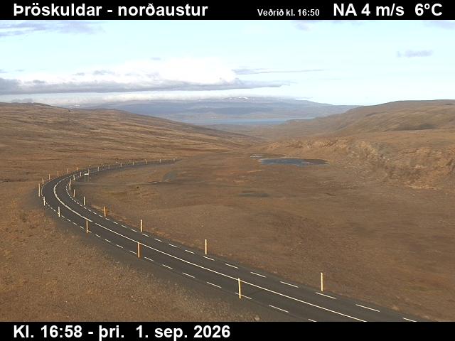 throskuldar_1-1788289329.jpg