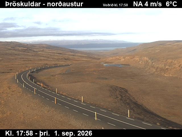 throskuldar_1-1788292937.jpg