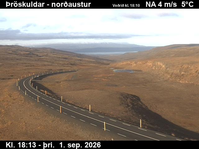 throskuldar_1-1788294363.jpg