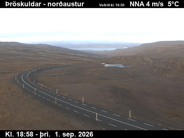 throskuldar_1-1788296776.jpg
