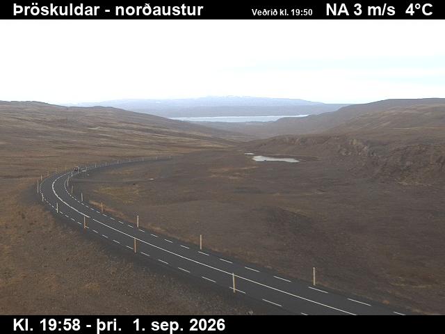 throskuldar_1-1788300122.jpg