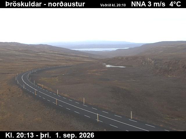 throskuldar_1-1788301566.jpg