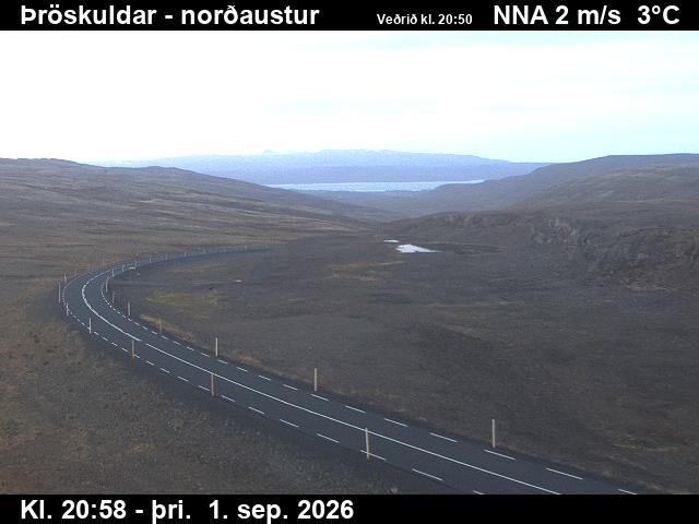 throskuldar_1-1788303968.jpg