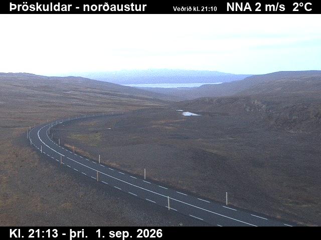 throskuldar_1-1788305169.jpg