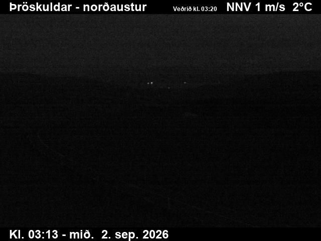 throskuldar_1-1788326802.jpg