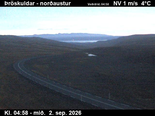 throskuldar_1-1788332505.jpg