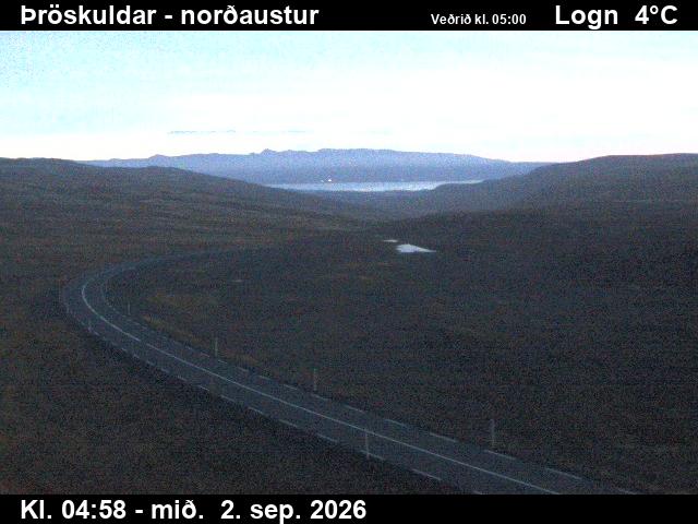throskuldar_1-1788332807.jpg