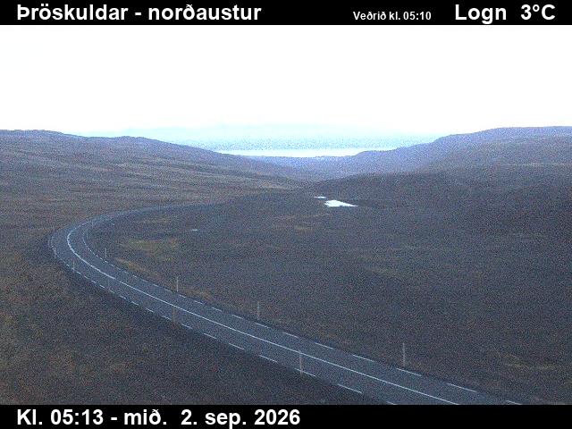 throskuldar_1-1788333945.jpg