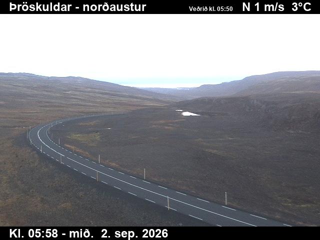 throskuldar_1-1788336111.jpg