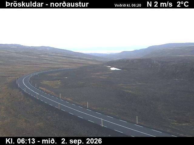 throskuldar_1-1788337692.jpg