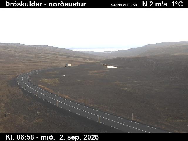 throskuldar_1-1788339735.jpg
