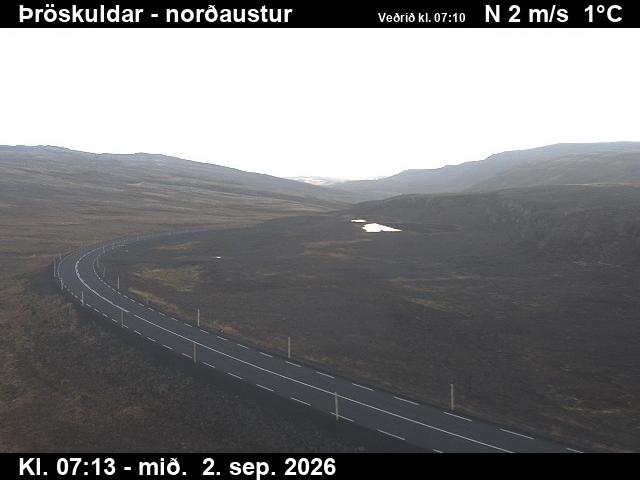throskuldar_1-1788341139.jpg