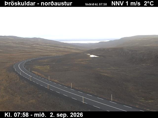 throskuldar_1-1788343286.jpg
