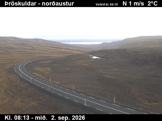 throskuldar_1-1788344784.jpg