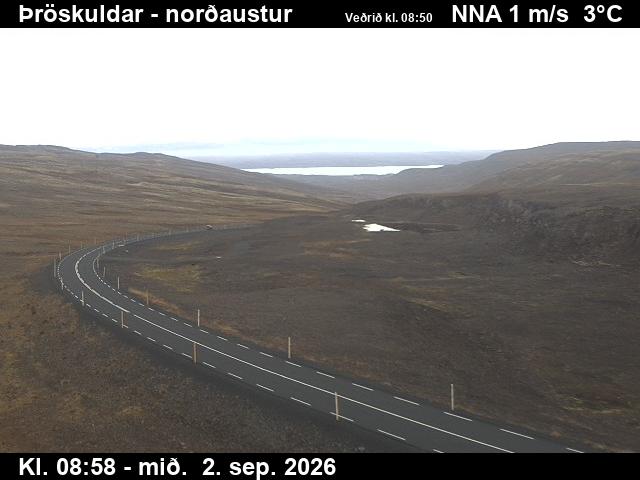 throskuldar_1-1788346881.jpg