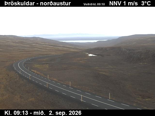 throskuldar_1-1788348364.jpg