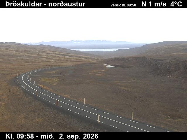 throskuldar_1-1788350492.jpg