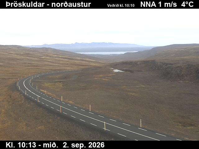 throskuldar_1-1788351943.jpg
