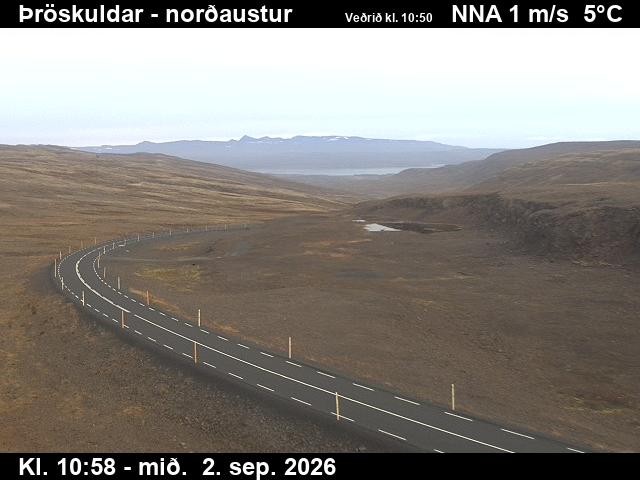 throskuldar_1-1788354198.jpg