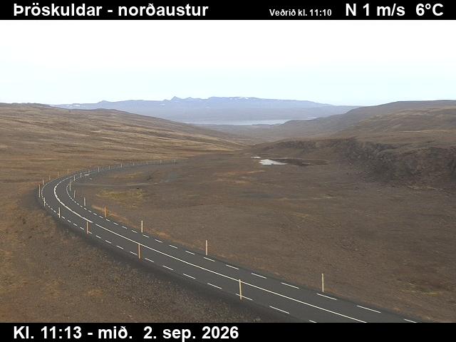 throskuldar_1-1788355538.jpg
