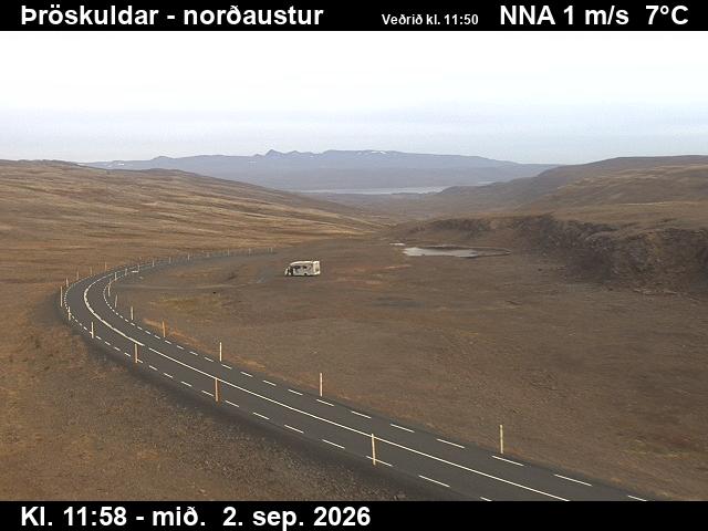 throskuldar_1-1788357681.jpg