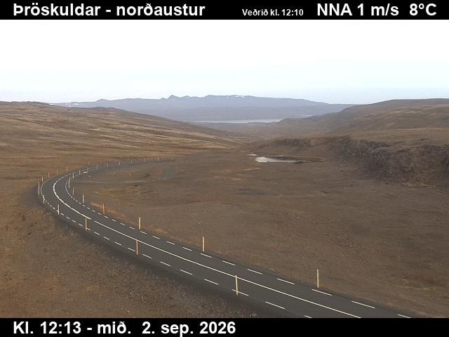 throskuldar_1-1788359130.jpg
