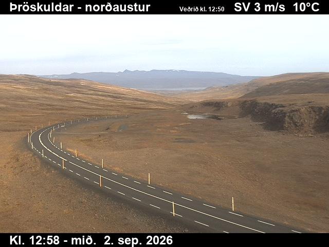 throskuldar_1-1788361273.jpg