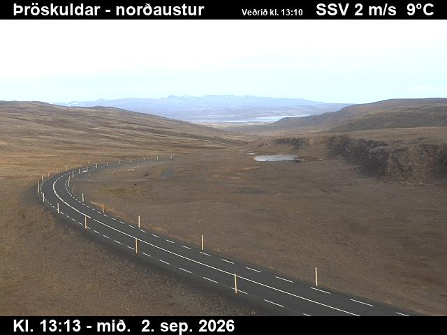 throskuldar_1-1788362785.jpg