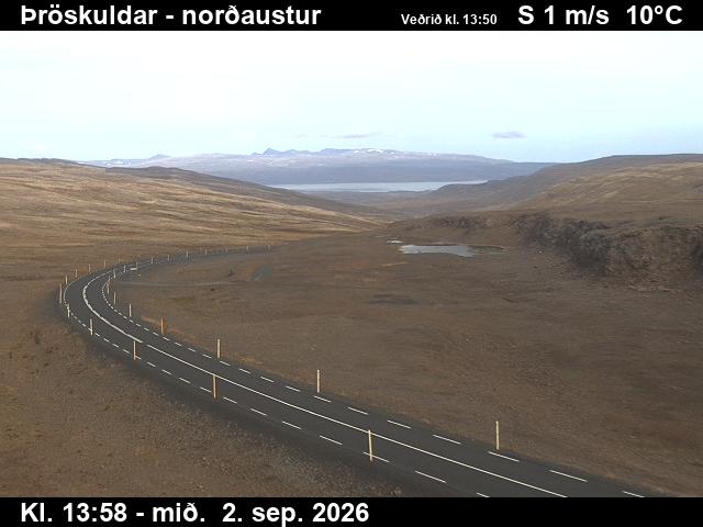 throskuldar_1-1788364870.jpg