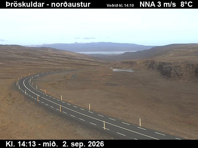 throskuldar_1-1788366395.jpg
