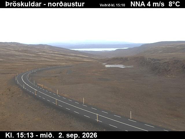 throskuldar_1-1788369952.jpg