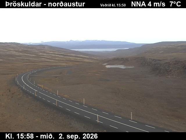 throskuldar_1-1788372104.jpg