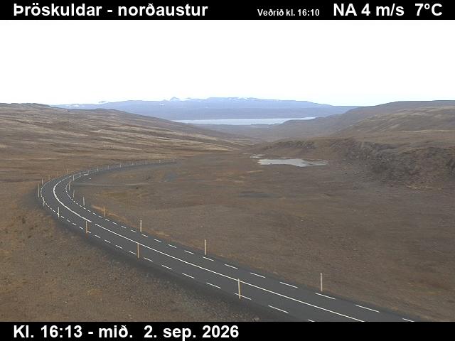 throskuldar_1-1788373556.jpg