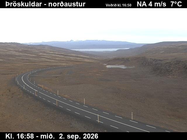 throskuldar_1-1788375973.jpg
