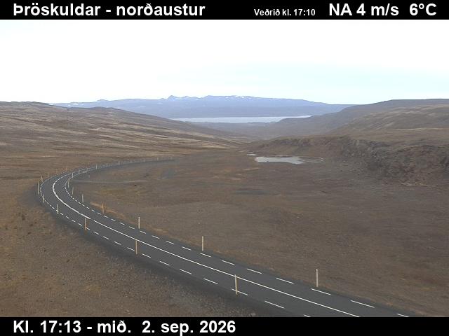 throskuldar_1-1788377141.jpg