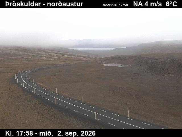 throskuldar_1-1788379285.jpg