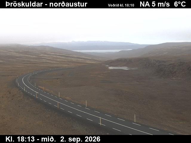throskuldar_1-1788380757.jpg