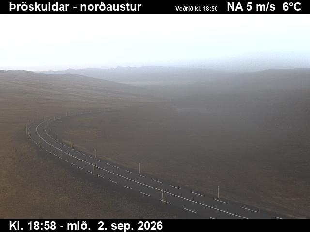 throskuldar_1-1788382901.jpg