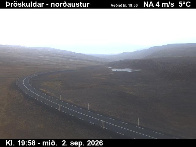 throskuldar_1-1788386543.jpg