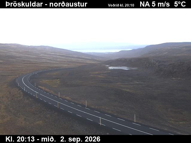 throskuldar_1-1788387951.jpg