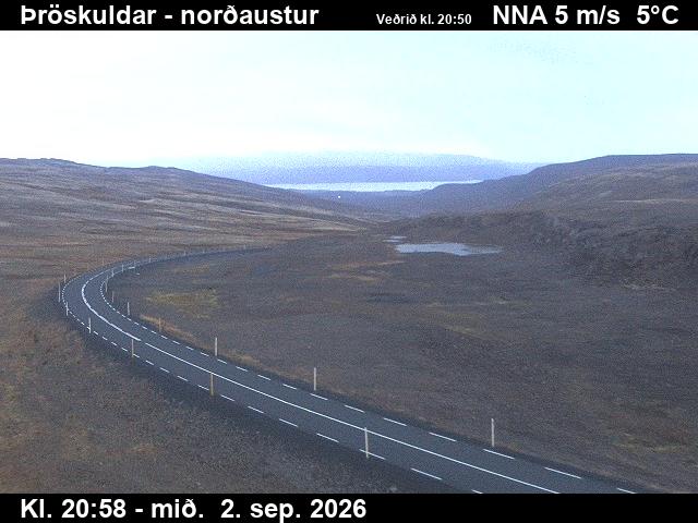 throskuldar_1-1788390130.jpg
