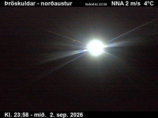 throskuldar_1-1788400900.jpg
