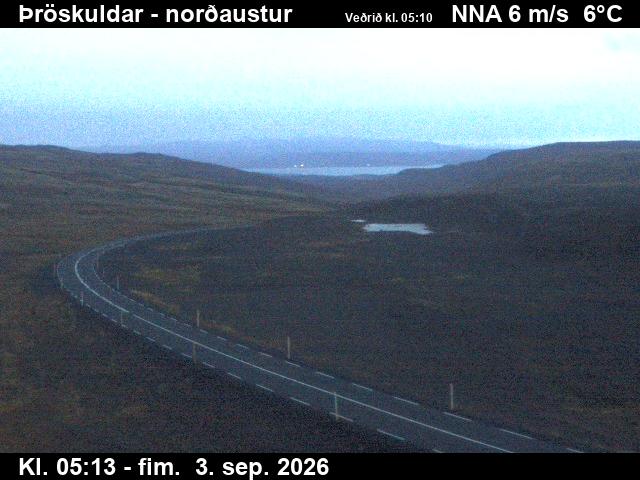 throskuldar_1-1788420369.jpg