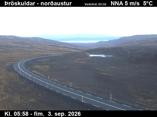 throskuldar_1-1788422486.jpg