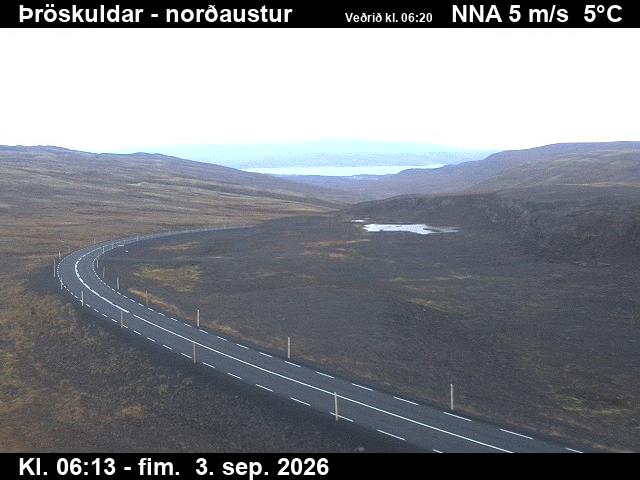 throskuldar_1-1788424153.jpg