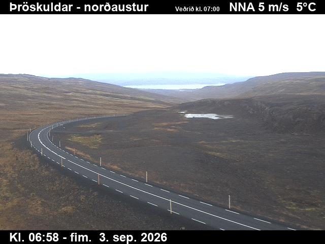 throskuldar_1-1788426469.jpg