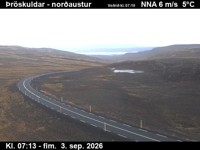 throskuldar_1-1788427590.jpg